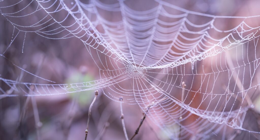 What is career clarity? 3 Steps to get you started
